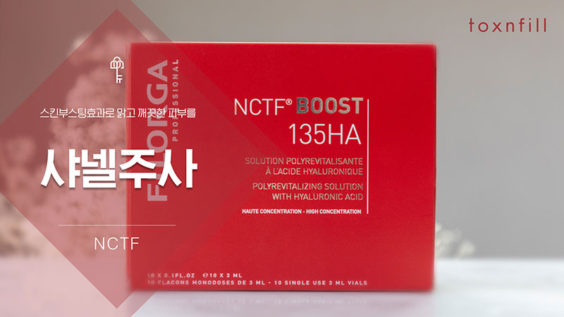 NCTF 필로가주사