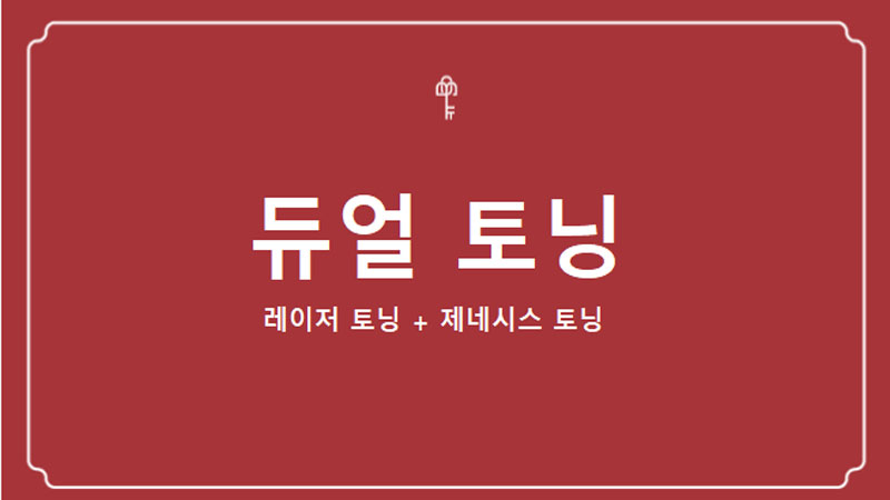 듀얼토닝