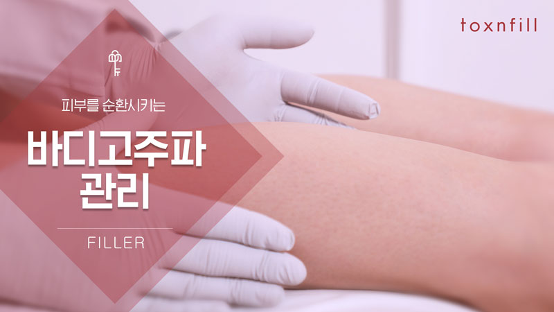 고주파지방파괴술