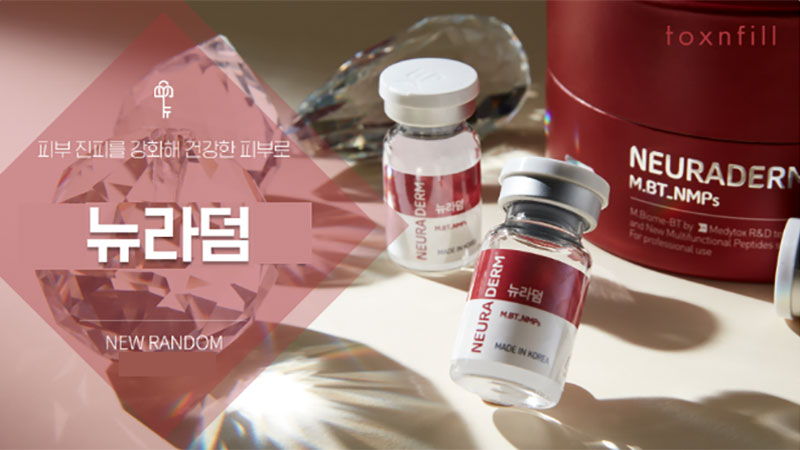 뉴라덤