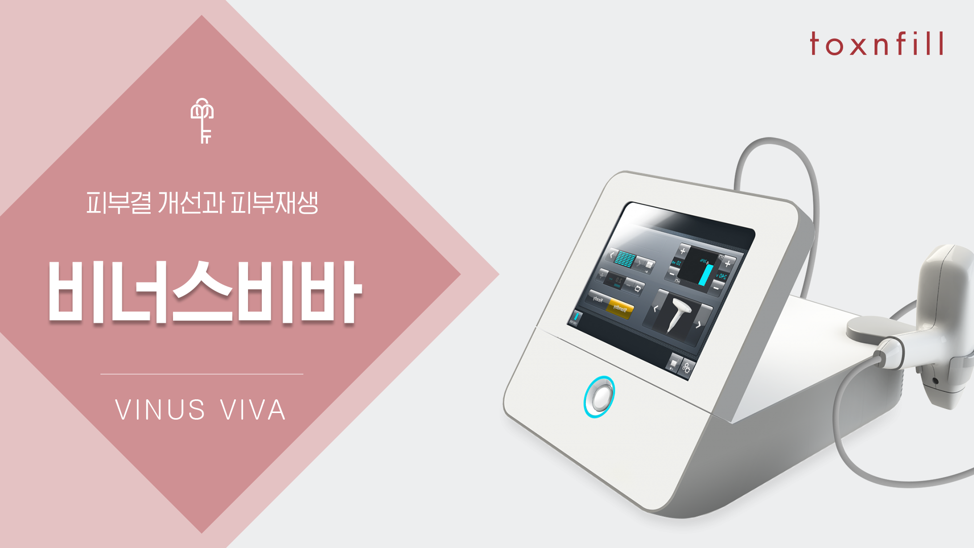 비너스비바