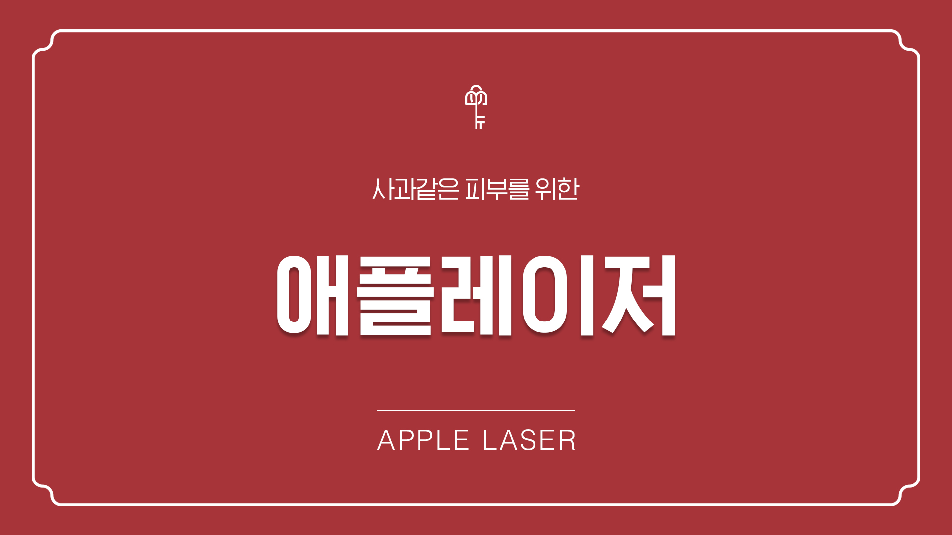 애플레이저 도입 기념 !