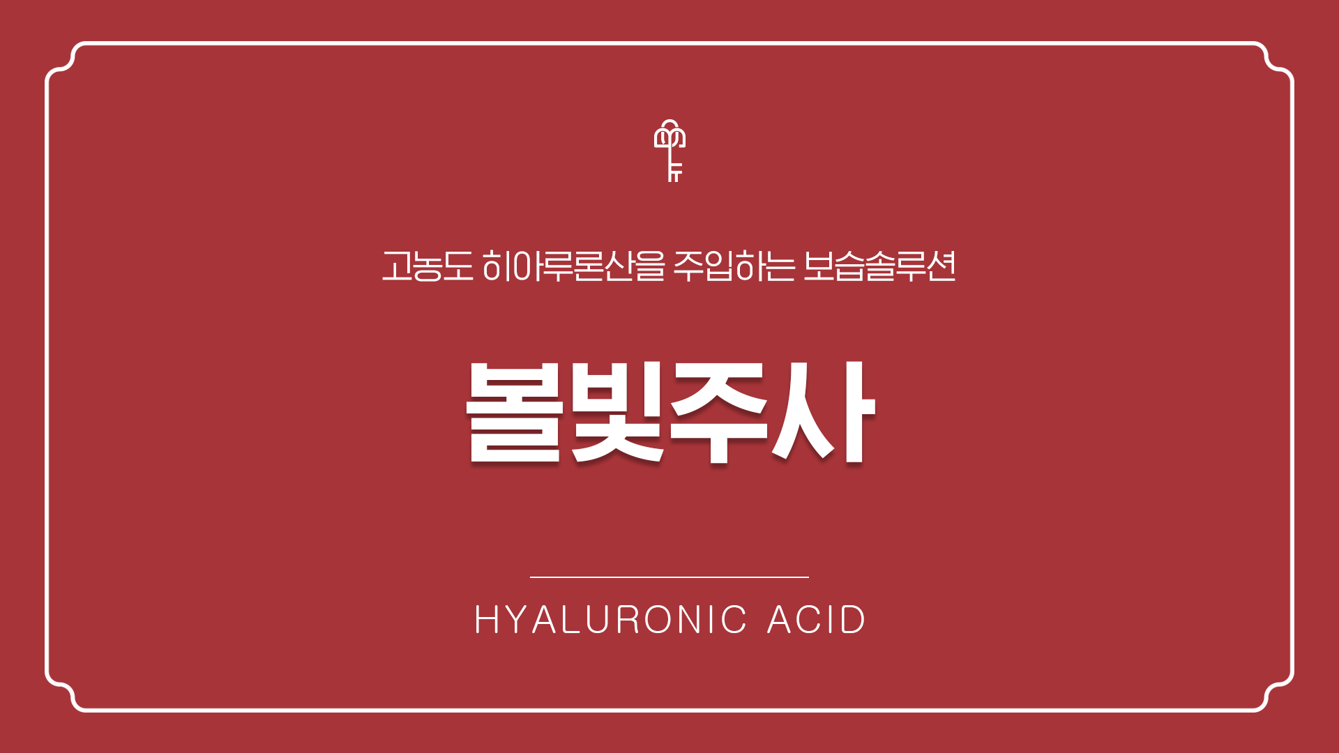 볼빛주사 런칭 이벤트