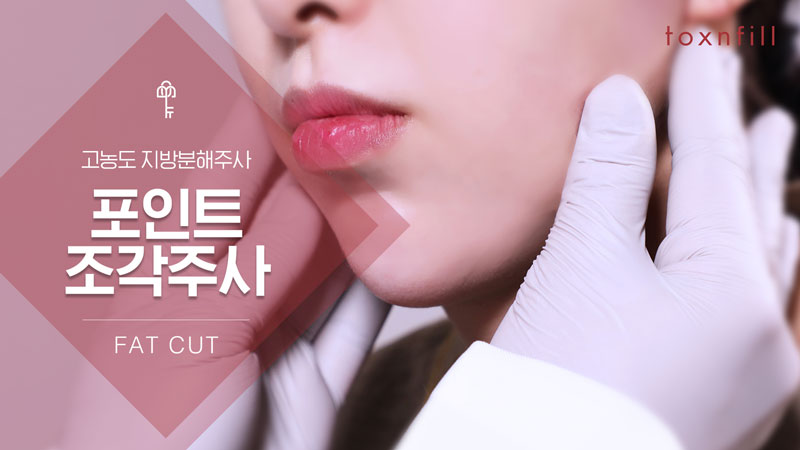 포인트 조각주사