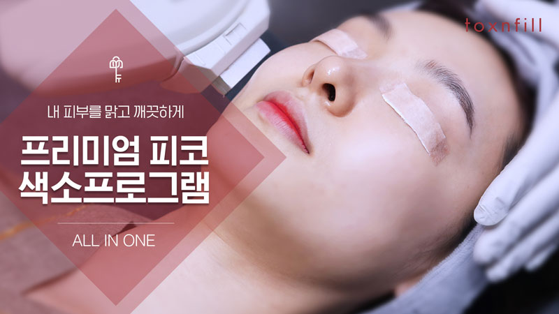 프리미엄 피코색소프로그램