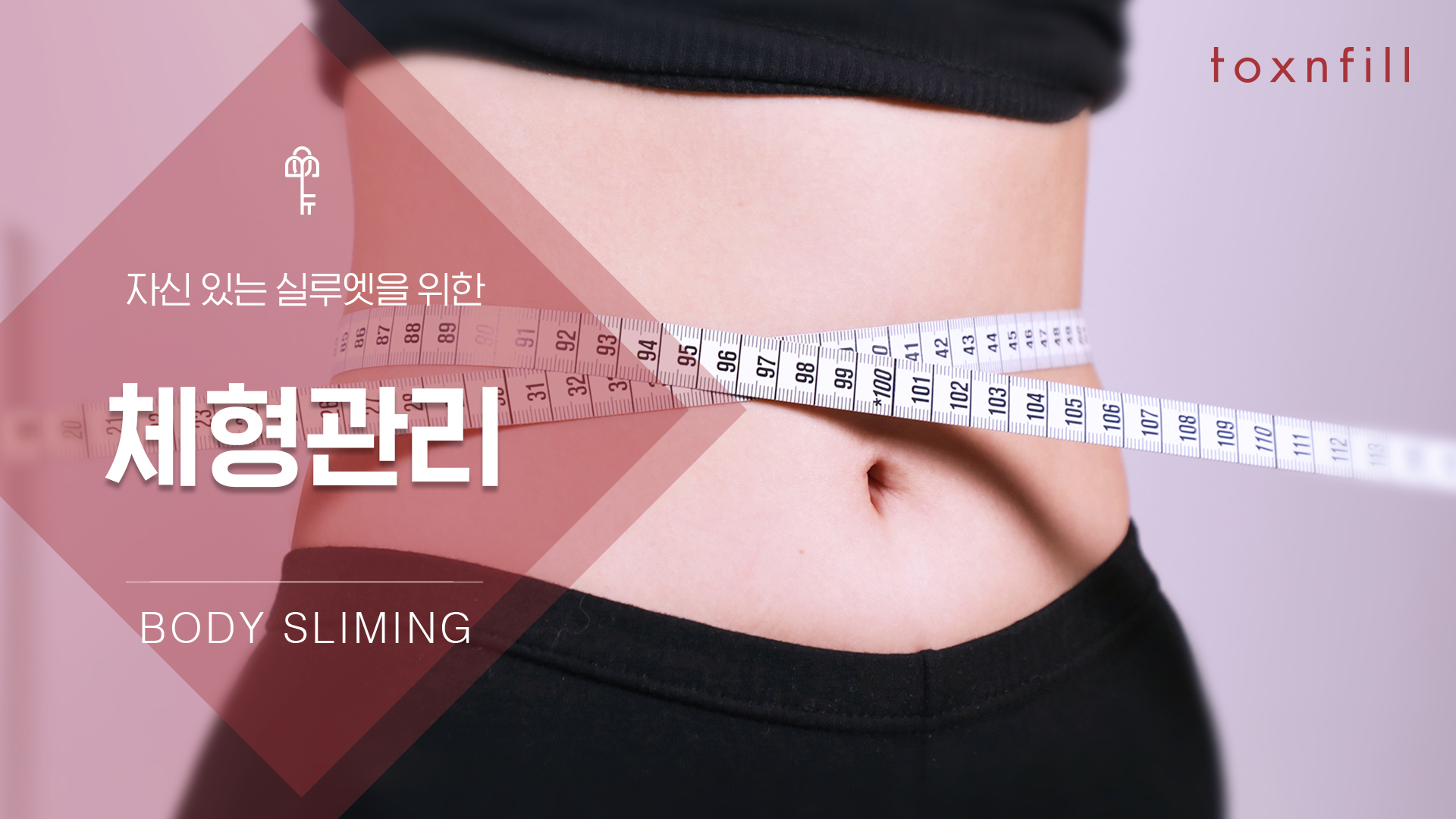 체형