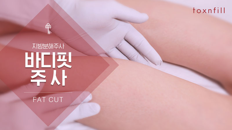바디핏주사